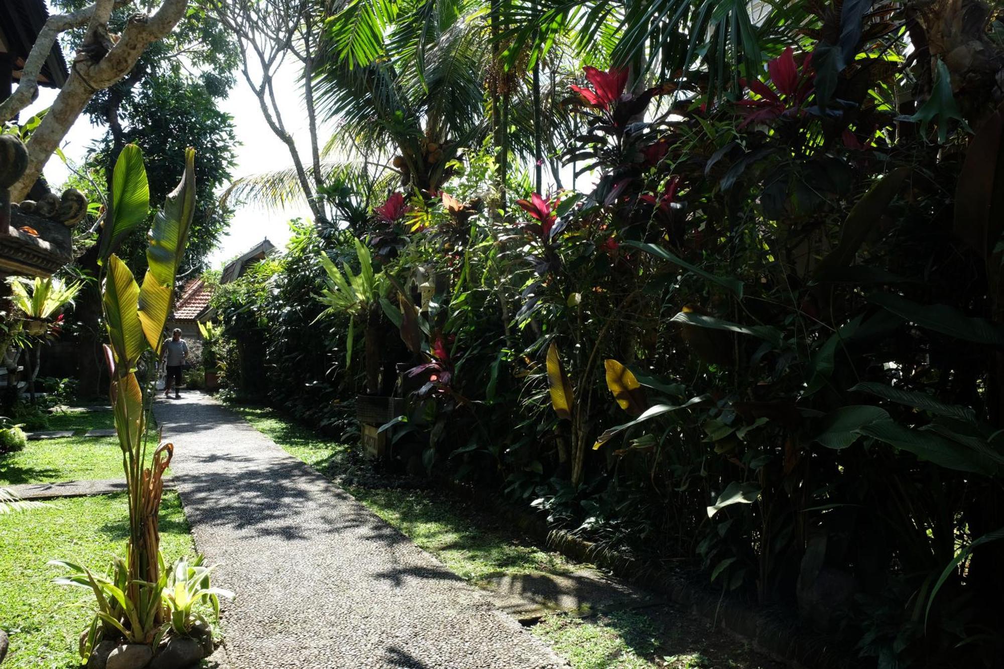 Suastika Guest House Ubud Exterior foto
